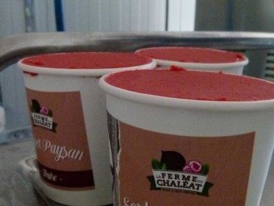 sorbet fraise bio ardehce ferme du chaleat